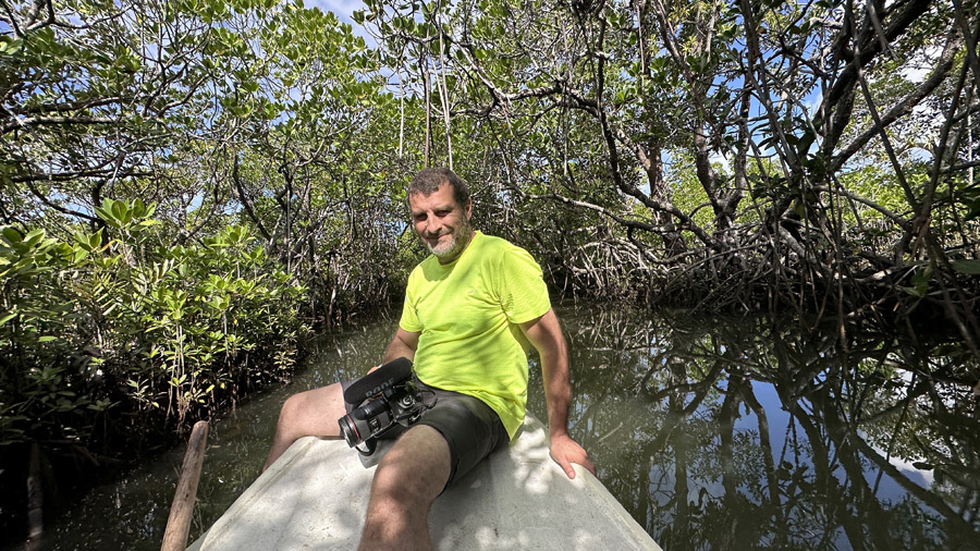 madagascar ile de sainte marie baie dampanihy mangrove
